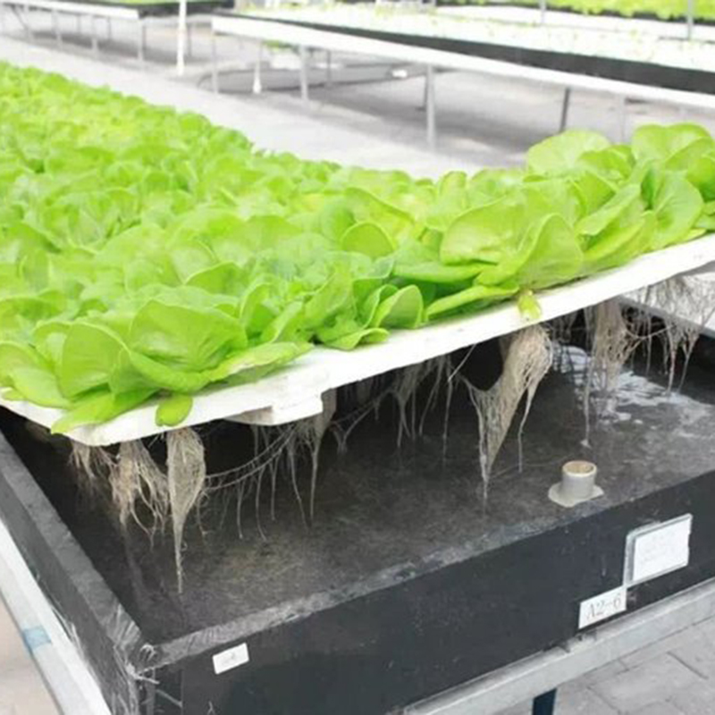 桂林市水培设备种植槽 - 方案